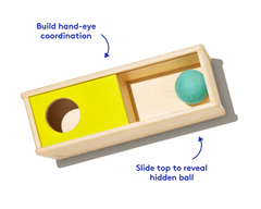 The Thinker Play Kit