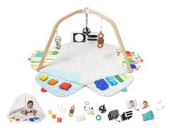 The Play Gym